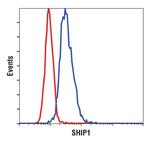 SHIP1 Antibody in Flow Cytometry (Flow)