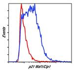 p21 Antibody in Flow Cytometry (Flow)