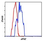 eIF4G Antibody in Flow Cytometry (Flow)