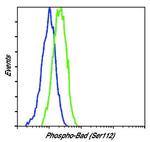 Phospho-BAD (Ser112) Antibody in Flow Cytometry (Flow)