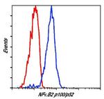 NFkB p52/p100 Antibody in Flow Cytometry (Flow)