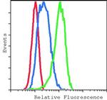 Phospho-p38 MAPK (Thr180, Tyr182) Antibody in Flow Cytometry (Flow)