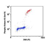 Phospho-Histone H3 (Ser10) Antibody in Flow Cytometry (Flow)