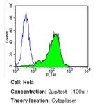 beta Actin Loading Control Antibody in Flow Cytometry (Flow)