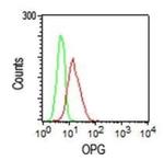 TNFRSF11B Antibody in Flow Cytometry (Flow)