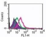 RANK Antibody in Flow Cytometry (Flow)