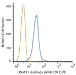 DNMT1 Antibody in Flow Cytometry (Flow)