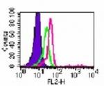 TLR6 Antibody in Flow Cytometry (Flow)