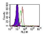 TLR3 Antibody in Flow Cytometry (Flow)