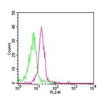 TLR8 Antibody in Flow Cytometry (Flow)