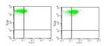 TLR4 Antibody in Flow Cytometry (Flow)