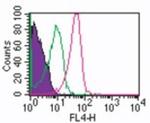 ROR gamma Antibody in Flow Cytometry (Flow)