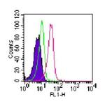 ROR gamma Antibody in Flow Cytometry (Flow)