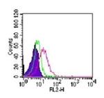 ROR gamma Antibody in Flow Cytometry (Flow)