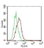 IL-25 Antibody in Flow Cytometry (Flow)