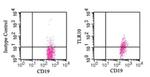 TLR10 Antibody in Flow Cytometry (Flow)