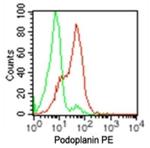 Podoplanin Antibody in Flow Cytometry (Flow)