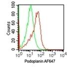 Podoplanin Antibody in Flow Cytometry (Flow)