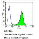 beta Tubulin Loading Control Antibody in Flow Cytometry (Flow)