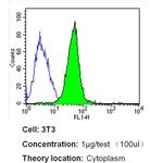 beta Tubulin Loading Control Antibody in Flow Cytometry (Flow)