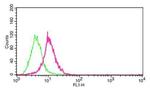 Carbonic Anhydrase IX Antibody in Flow Cytometry (Flow)