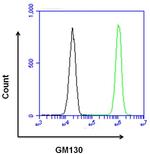 Rabbit IgG Isotype Control in Flow Cytometry (Flow)