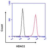 Rabbit IgG Isotype Control in Flow Cytometry (Flow)