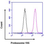 Rabbit IgG Isotype Control in Flow Cytometry (Flow)