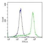 Rabbit IgG Isotype Control in Flow Cytometry (Flow)