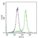 Rabbit IgG Isotype Control in Flow Cytometry (Flow)