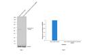 Cytokeratin 8 Antibody