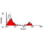 CD21 Antibody in Flow Cytometry (Flow)