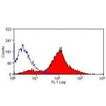 NOTCH1 Antibody in Flow Cytometry (Flow)