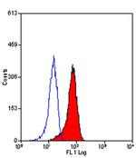 CD206 Antibody in Flow Cytometry (Flow)