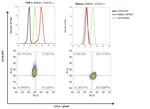 SSEA1 Antibody in Flow Cytometry (Flow)