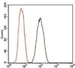 Dynactin 4 Antibody in Flow Cytometry (Flow)