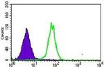 MRPL42 Antibody in Flow Cytometry (Flow)