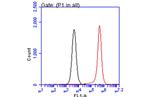 PEX19 Antibody in Flow Cytometry (Flow)