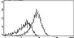 CD55 Antibody in Flow Cytometry (Flow)