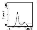 I-Ab Antibody in Flow Cytometry (Flow)