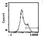 I-Ab Antibody in Flow Cytometry (Flow)