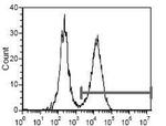 I-Ad Antibody in Flow Cytometry (Flow)