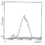 CD5 Antibody in Flow Cytometry (Flow)