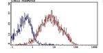 CD44 Antibody in Flow Cytometry (Flow)