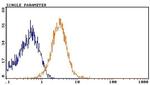 CD81 Antibody in Flow Cytometry (Flow)