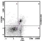 CD200 Antibody in Flow Cytometry (Flow)