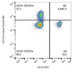 LAMP1 Antibody in Flow Cytometry (Flow)