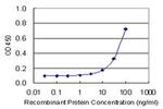 Carbonic Anhydrase IV Antibody in ELISA (ELISA)