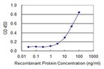 COX15 Antibody in ELISA (ELISA)