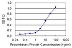 Carboxypeptidase A2 Antibody in ELISA (ELISA)